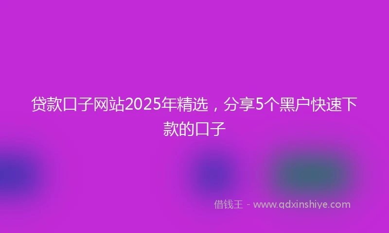 贷款口子网站2025年精选，分享5个黑户快速下款的口子