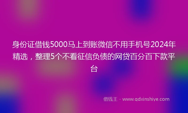 身份证借钱5000马上到账微信不用手机号2024年精选，整理5个不看征信负债的网贷百分百下款平台