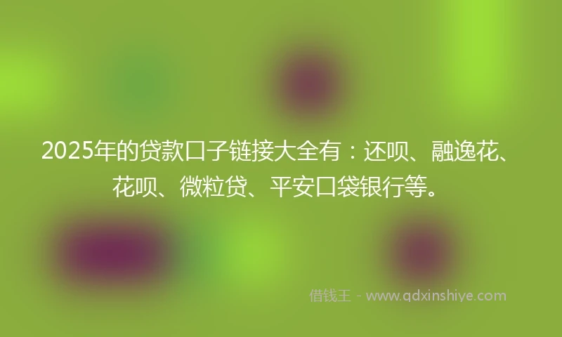 2025年的贷款口子链接大全有：还呗、融逸花、花呗、微粒贷、平安口袋银行等。