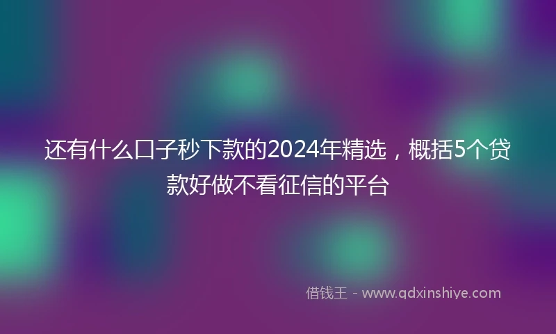 还有什么口子秒下款的2024年精选，概括5个贷款好做不看征信的平台