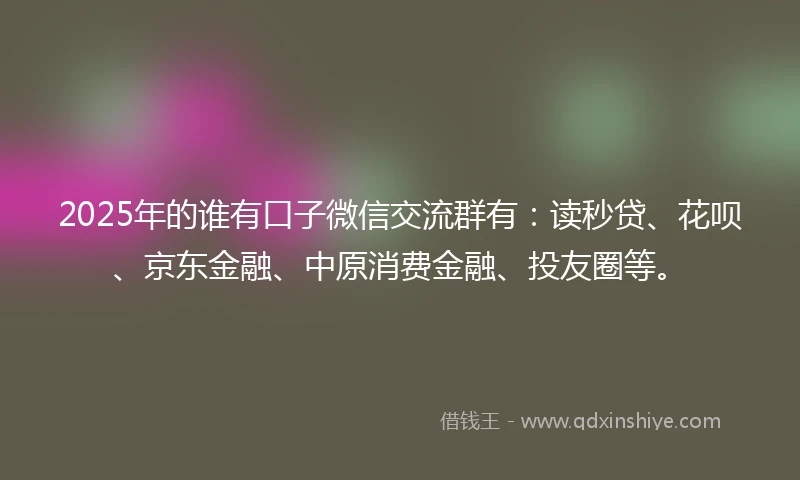 2025年的谁有口子微信交流群有：读秒贷、花呗、京东金融、中原消费金融、投友圈等。
