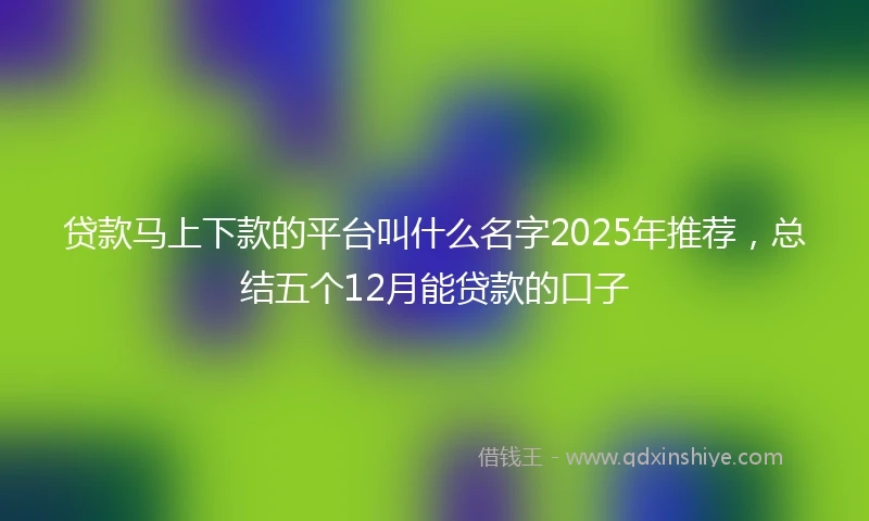 贷款马上下款的平台叫什么名字2025年推荐，总结五个12月能贷款的口子