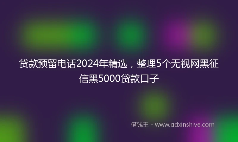 贷款预留电话2024年精选，整理5个无视网黑征信黑5000贷款口子