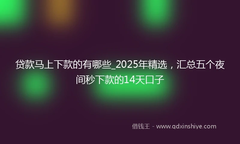 贷款马上下款的有哪些_2025年精选，汇总五个夜间秒下款的14天口子