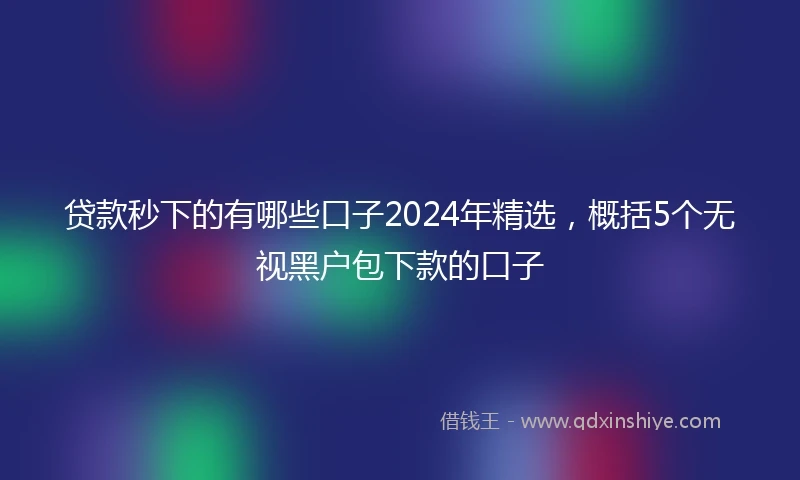 贷款秒下的有哪些口子2024年精选，概括5个无视黑户包下款的口子