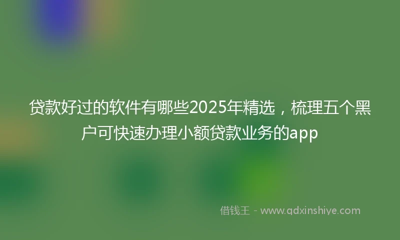 贷款好过的软件有哪些2025年精选，梳理五个黑户可快速办理小额贷款业务的app