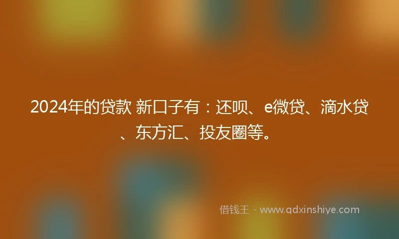2024年的贷款 新口子有：还呗、e微贷、滴水贷、东方汇、投友圈等。