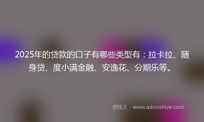 2025年的贷款的口子有哪些类型有：拉卡拉、随身贷、度小满金融、安逸花、分期乐等。