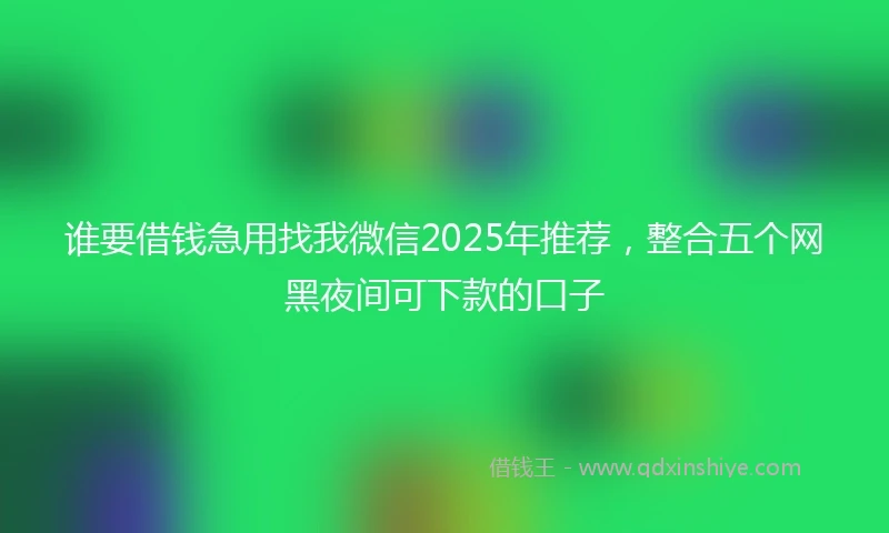 谁要借钱急用找我微信2025年推荐，整合五个网黑夜间可下款的口子