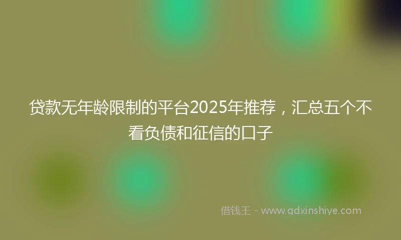 贷款无年龄限制的平台2025年推荐，汇总五个不看负债和征信的口子