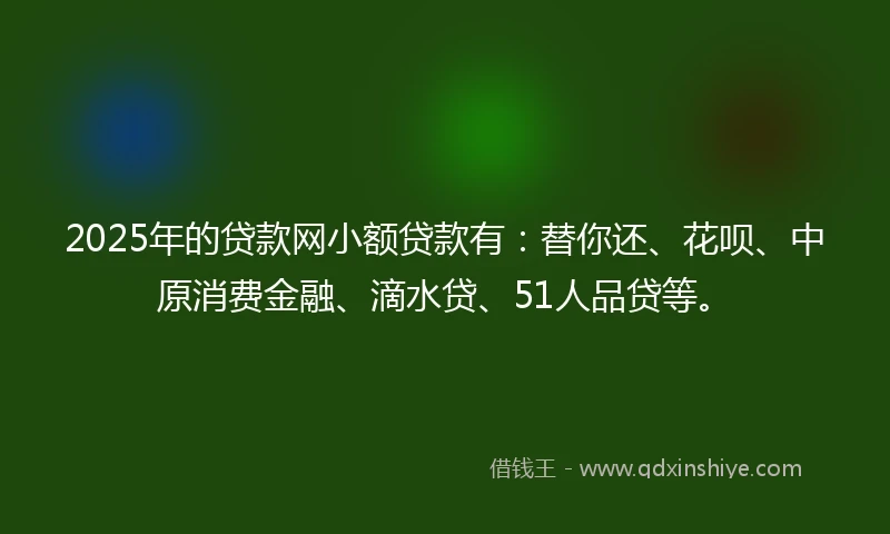2025年的贷款网小额贷款有：替你还、花呗、中原消费金融、滴水贷、51人品贷等。