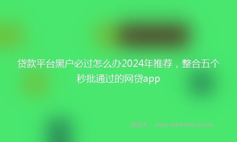 贷款平台黑户必过怎么办2024年推荐，整合五个秒批通过的网贷app