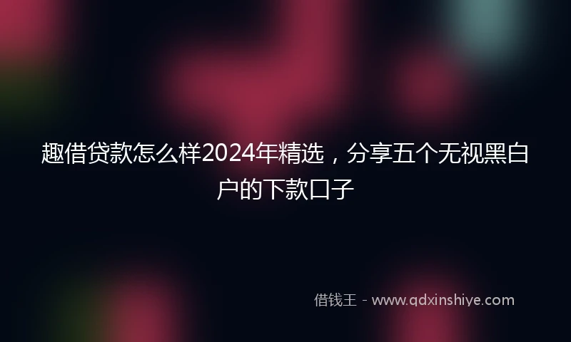 趣借贷款怎么样2024年精选，分享五个无视黑白户的下款口子