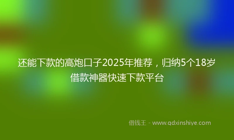 还能下款的高炮口子2025年推荐，归纳5个18岁借款神器快速下款平台