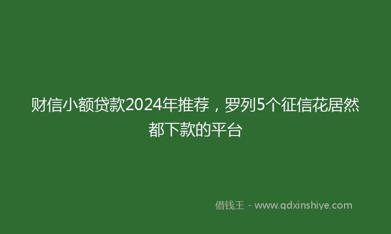 财信小额贷款2024年推荐，罗列5个征信花居然都下款的平台