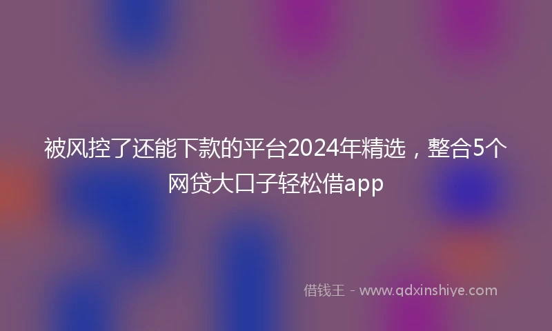 被风控了还能下款的平台2024年精选，整合5个网贷大口子轻松借app