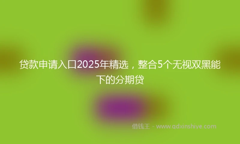 贷款申请入口2025年精选，整合5个无视双黑能下的分期贷