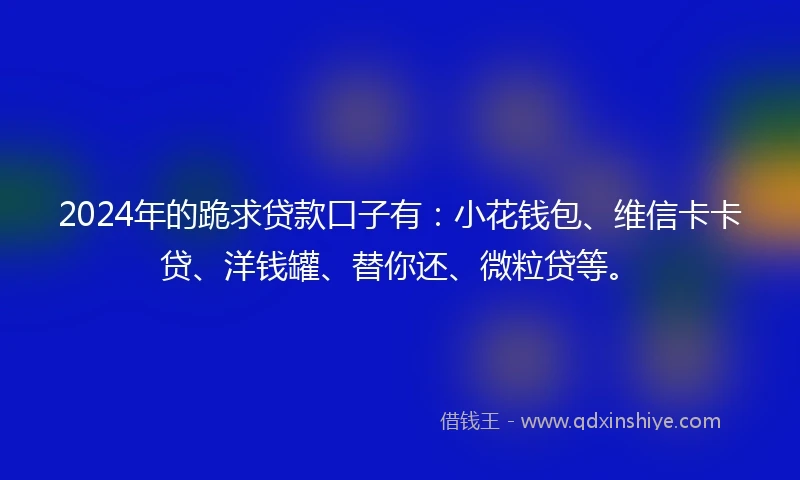 2024年的跪求贷款口子有：小花钱包、维信卡卡贷、洋钱罐、替你还、微粒贷等。