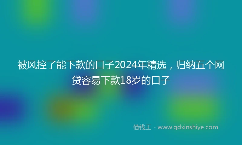 被风控了能下款的口子2024年精选，归纳五个网贷容易下款18岁的口子