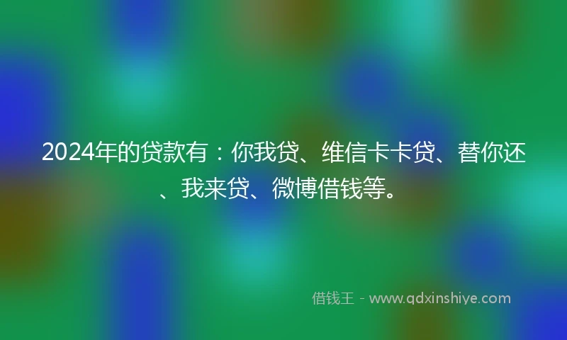 2024年的贷款有：你我贷、维信卡卡贷、替你还、我来贷、微博借钱等。