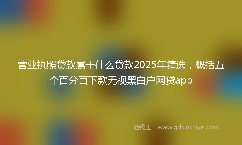 营业执照贷款属于什么贷款2025年精选，概括五个百分百下款无视黑白户网贷app
