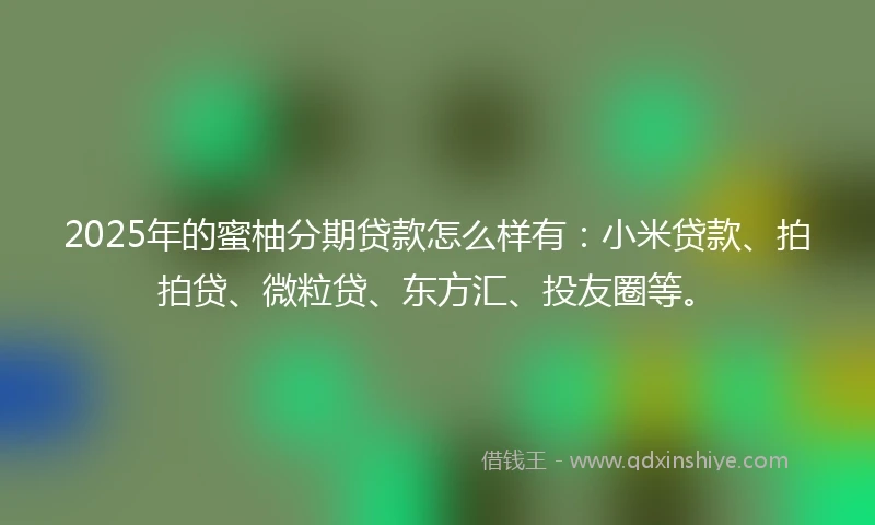 2025年的蜜柚分期贷款怎么样有：小米贷款、拍拍贷、微粒贷、东方汇、投友圈等。