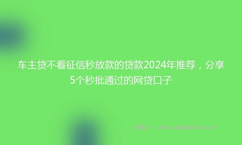 车主贷不看征信秒放款的贷款2024年推荐，分享5个秒批通过的网贷口子