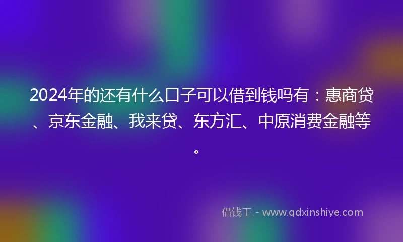 2024年的还有什么口子可以借到钱吗有：惠商贷、京东金融、我来贷、东方汇、中原消费金融等。