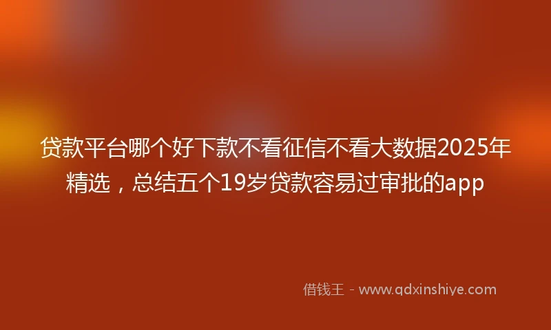 贷款平台哪个好下款不看征信不看大数据2025年精选，总结五个19岁贷款容易过审批的app