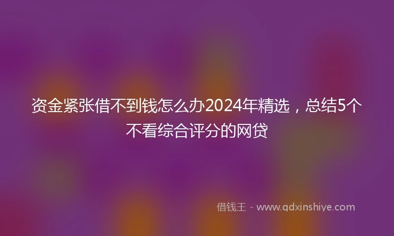 资金紧张借不到钱怎么办2024年精选，总结5个不看综合评分的网贷