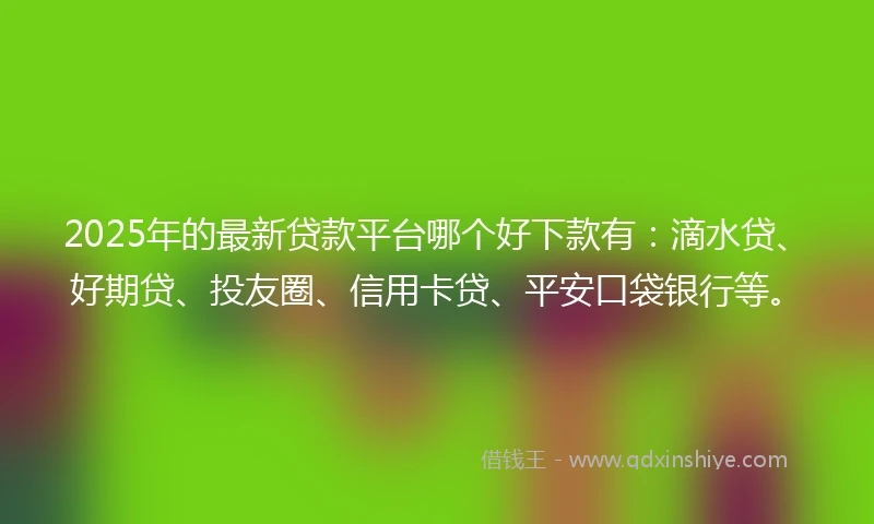 2025年的最新贷款平台哪个好下款有：滴水贷、好期贷、投友圈、信用卡贷、平安口袋银行等。