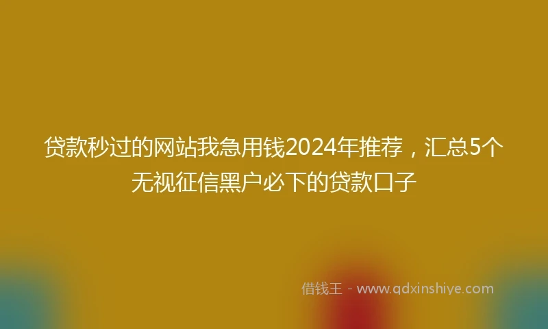 贷款秒过的网站我急用钱2024年推荐，汇总5个无视征信黑户必下的贷款口子