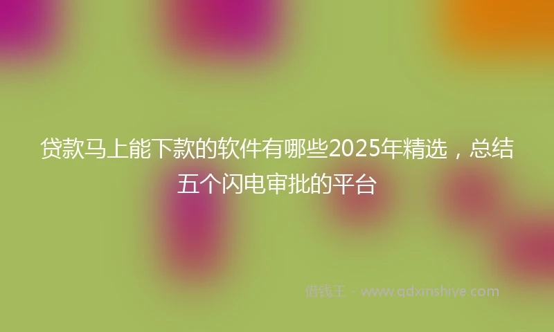 贷款马上能下款的软件有哪些2025年精选，总结五个闪电审批的平台