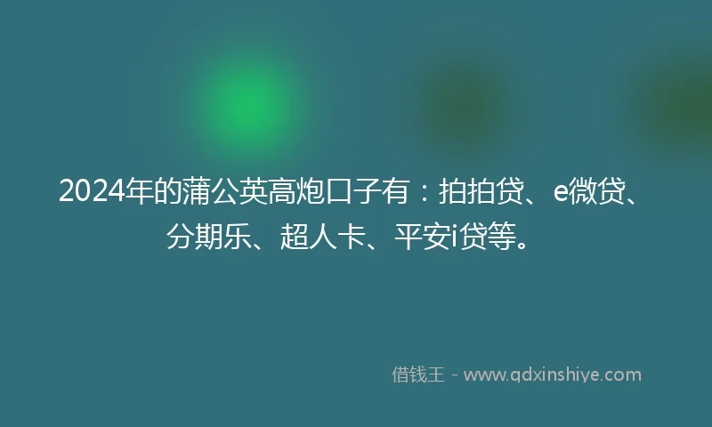 2024年的蒲公英高炮口子有：拍拍贷、e微贷、分期乐、超人卡、平安i贷等。