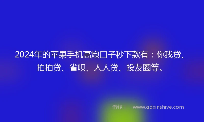 2024年的苹果手机高炮口子秒下款有：你我贷、拍拍贷、省呗、人人贷、投友圈等。