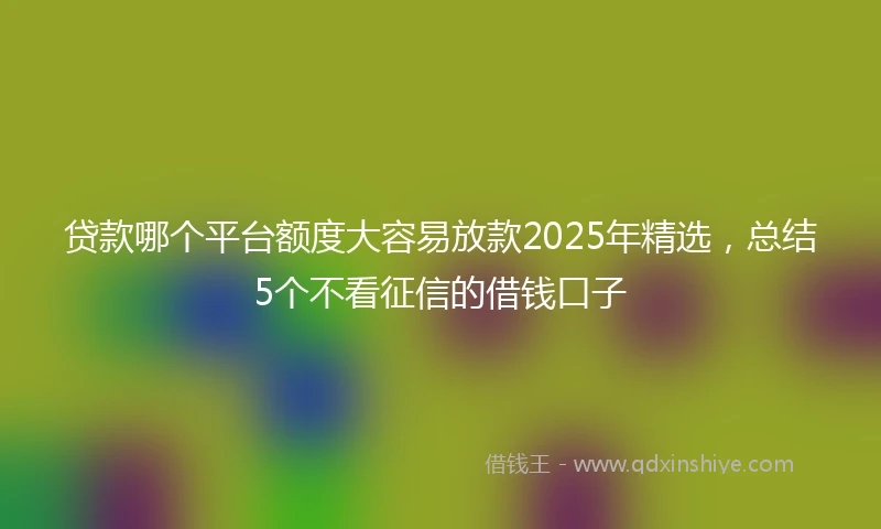 贷款哪个平台额度大容易放款2025年精选，总结5个不看征信的借钱口子
