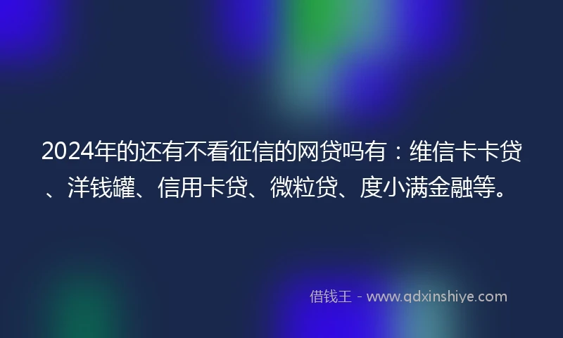 2024年的还有不看征信的网贷吗有：维信卡卡贷、洋钱罐、信用卡贷、微粒贷、度小满金融等。