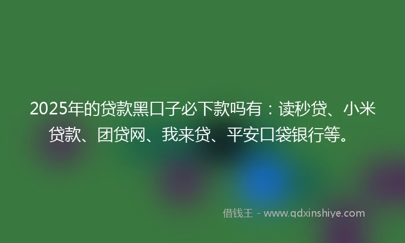2025年的贷款黑口子必下款吗有：读秒贷、小米贷款、团贷网、我来贷、平安口袋银行等。