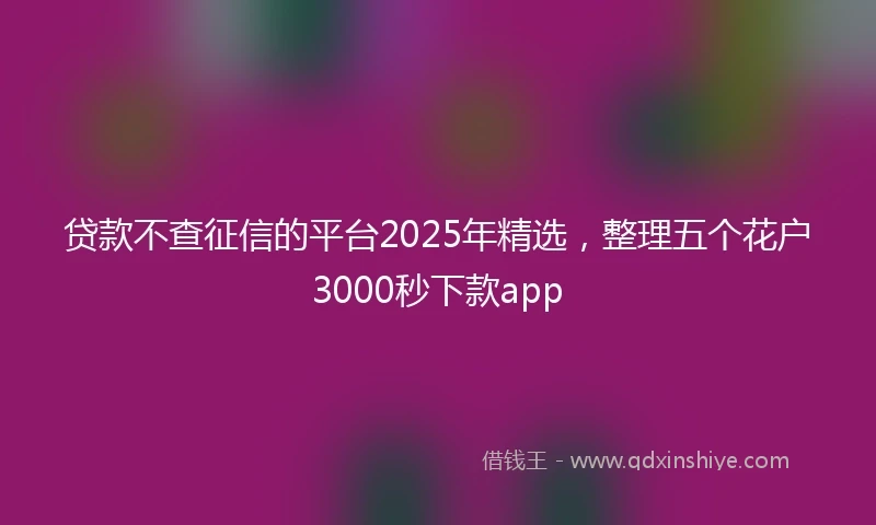贷款不查征信的平台2025年精选，整理五个花户3000秒下款app