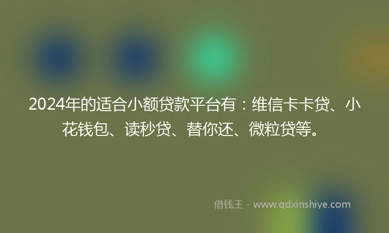 2024年的适合小额贷款平台有：维信卡卡贷、小花钱包、读秒贷、替你还、微粒贷等。