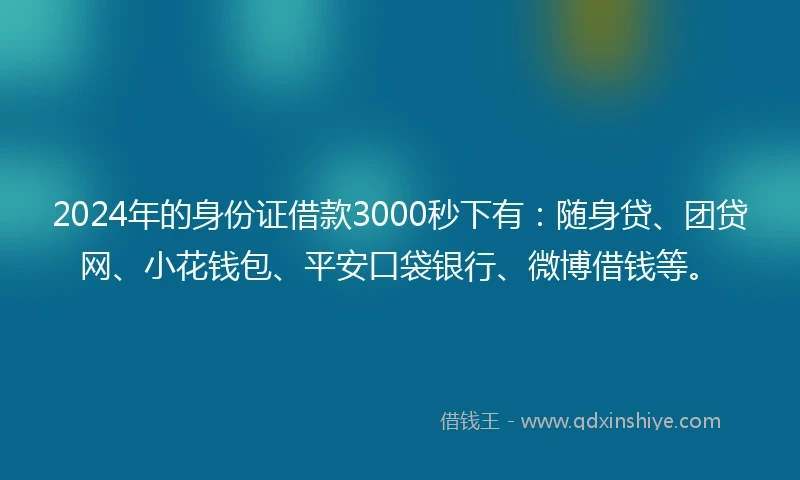 2024年的身份证借款3000秒下有：随身贷、团贷网、小花钱包、平安口袋银行、微博借钱等。