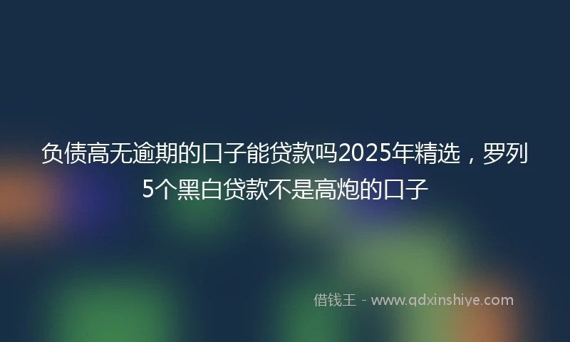 负债高无逾期的口子能贷款吗2025年精选，罗列5个黑白贷款不是高炮的口子