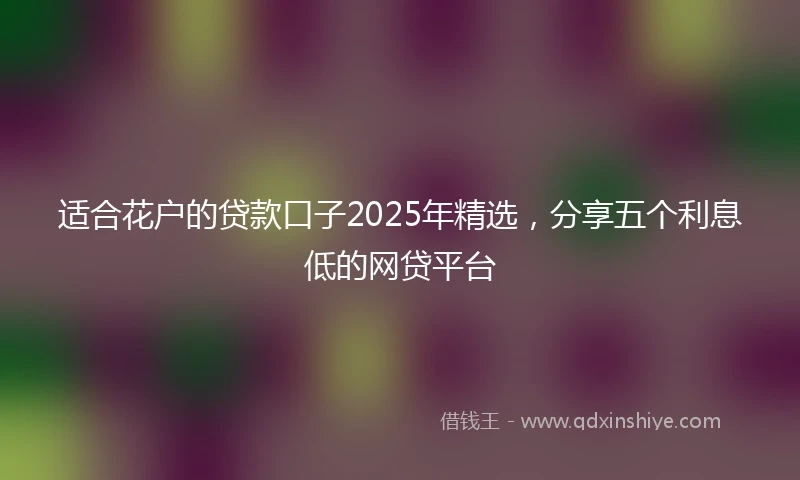 适合花户的贷款口子2025年精选，分享五个利息低的网贷平台