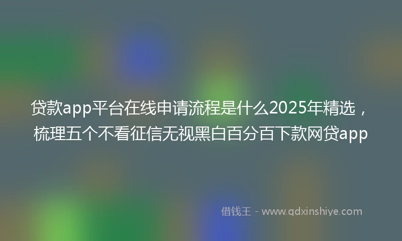贷款app平台在线申请流程是什么2025年精选，梳理五个不看征信无视黑白百分百下款网贷app