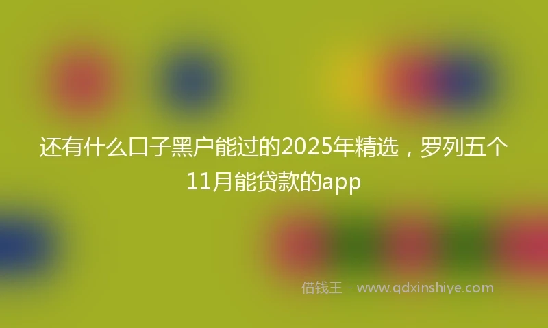 还有什么口子黑户能过的2025年精选，罗列五个11月能贷款的app