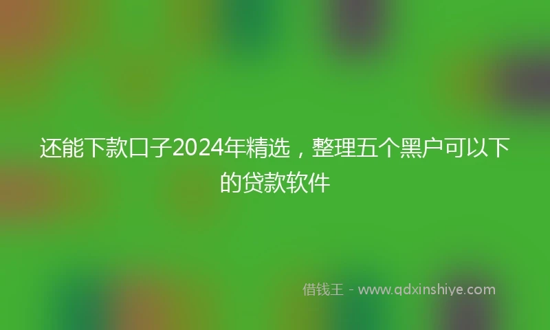 还能下款口子2024年精选，整理五个黑户可以下的贷款软件