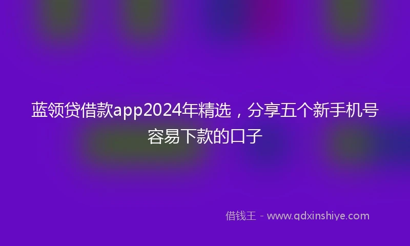 蓝领贷借款app2024年精选，分享五个新手机号容易下款的口子