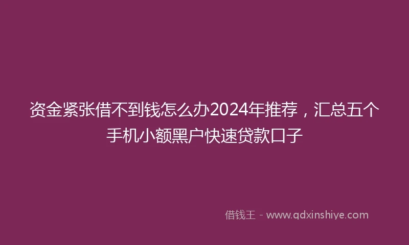 资金紧张借不到钱怎么办2024年推荐，汇总五个手机小额黑户快速贷款口子