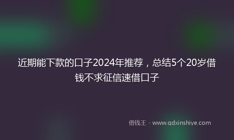 近期能下款的口子2024年推荐，总结5个20岁借钱不求征信速借口子
