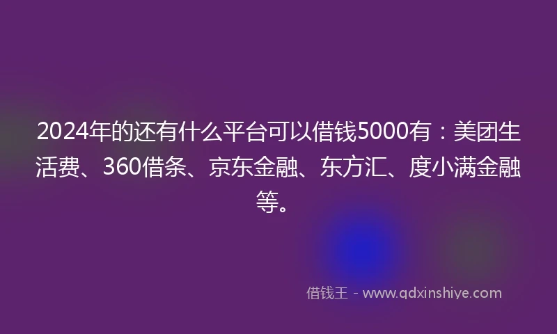 2024年的还有什么平台可以借钱5000有：美团生活费、360借条、京东金融、东方汇、度小满金融等。
